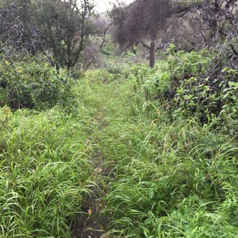 Point Mugu State Park - Lots of green - Parks Near Me - Malibu, California Point Mugu State Park - Lots of green - Parks Near Me - Malibu, California
