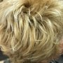 Hair Designs by Cheryl Iwasaki