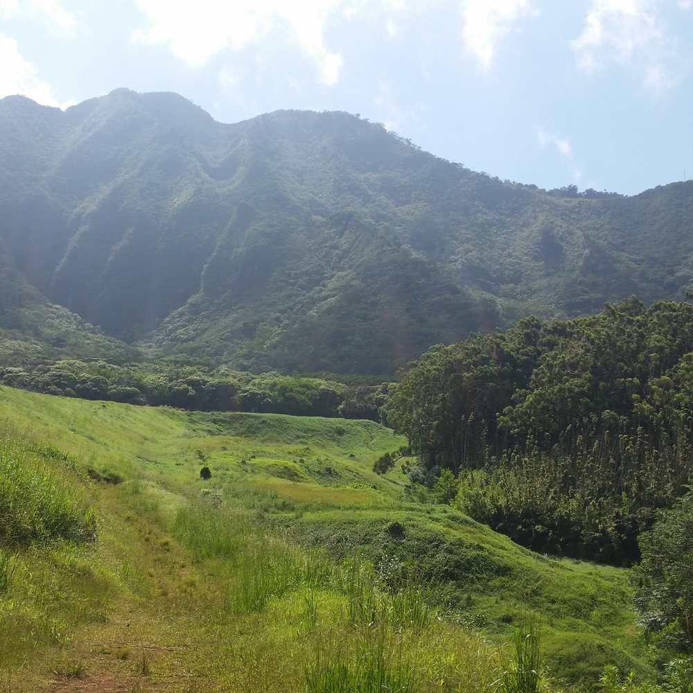 Lulumahu Falls - Hiking Near Me - Honolulu, Hawaii Lulumahu Falls - Hiking Near Me - Honolulu, Hawaii