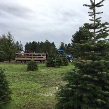Historic Kirchem Farm - They take you around to the different fields on the trailer, pick up your tree separate - Pick Your Own Farms Near Me - Oregon City, Oregon