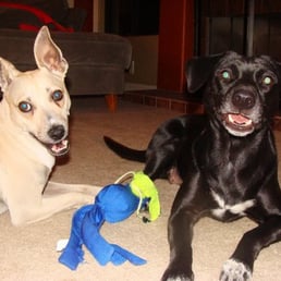 Roxi and Jake discuss the good time they had while Oz was babysitting them! Roxi and Jake discuss the good time they had while Oz was babysitting them!