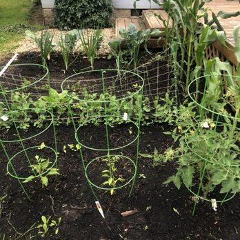 Lawn Heroes - a raised garden bed with plants growing in it - Landscaping Near Me - Grants Pass, Oregon
