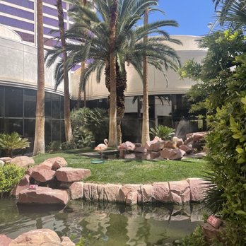 Flamingo Las Vegas - Garden with flamingos - Hotels Near Me - Las Vegas, Nevada Flamingo Las Vegas - Garden with flamingos - Hotels Near Me - Las Vegas, Nevada