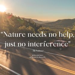 Meraki Chiropractic & Functional Neurology