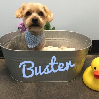 Friends Furever - Pet Groomers Near Me - Rockford, Michigan