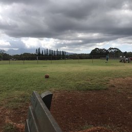 Dog Park