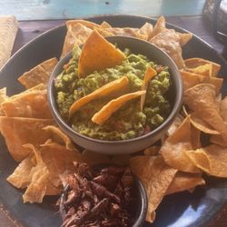 Conejo en la Luna - Guacamole with crickets
