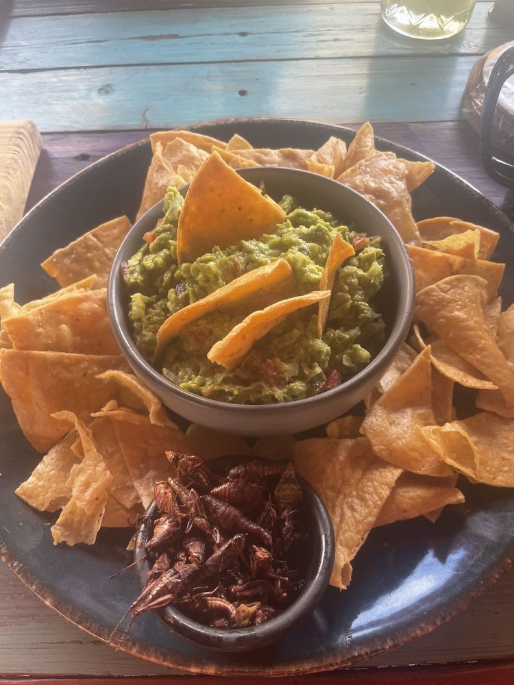 Conejo en la Luna — Mexican restaurant in San Juan Teotihuacan de Arista
