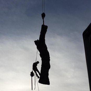T&T Tree Service - Hanging from the Crane - what tree guys live for! - Tree Services Near Me - Lambertville, New Jersey T&T Tree Service - Hanging from the Crane - what tree guys live for! - Tree Services Near Me - Lambertville, New Jersey