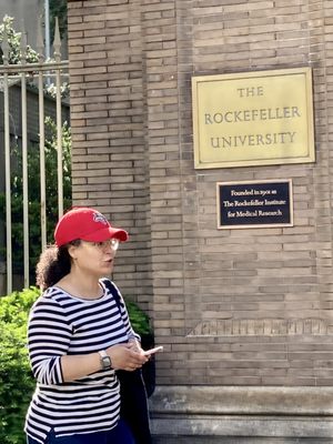The Rockefeller University