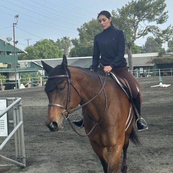 The Paddock Riding Club - Horseback Riding Near Me - Los Angeles, California The Paddock Riding Club - Horseback Riding Near Me - Los Angeles, California