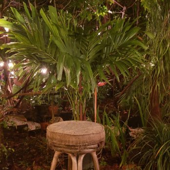 Understory - Chair for photo ops - Wine Bars Near Me - Miami, Florida