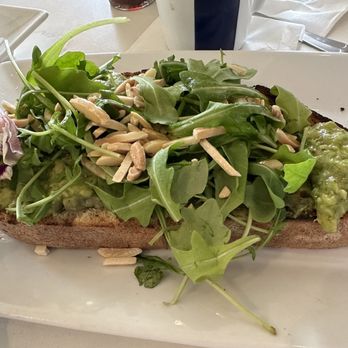 Toasted Gastrobrunch - Avocado Toast - Breakfast & Brunch Near Me - Oceanside, California