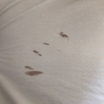 Laughlin River Lodge - This place is disgusting piss and blood stains on the sheets !! Not to mention when u leave ur room they help themselves to it. - Resorts Near Me - Laughlin, Nevada