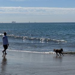 Rosie's Dog Beach - Labor Day Weekend 2026