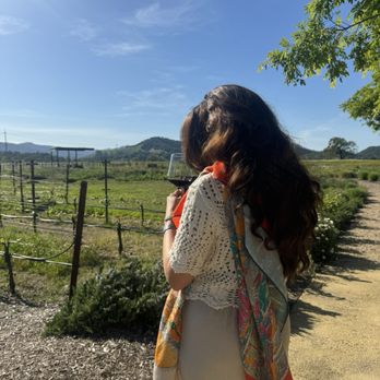 Clos du Val - Vineyard - Wineries Near Me - Napa, California