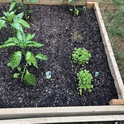 Meadows Farms Nurseries - Stafford - Notice the dead herb second from the top.