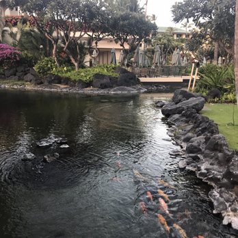 Tidepools - Hawaiian Near Me - Poipu, Hawaii