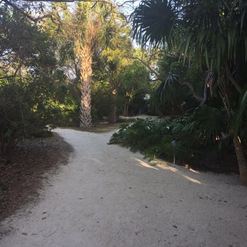Casa Morada - Lost in paradise . So many beautiful birds on property - Resorts Near Me - Islamorada, Florida