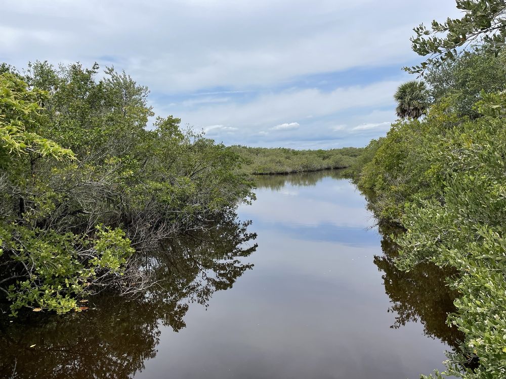 Pelican Island National Wildlife Refuge Image