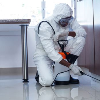 Brown Pest Control - Pest Control Near Me - Dayton, Ohio Brown Pest Control - Pest Control Near Me - Dayton, Ohio