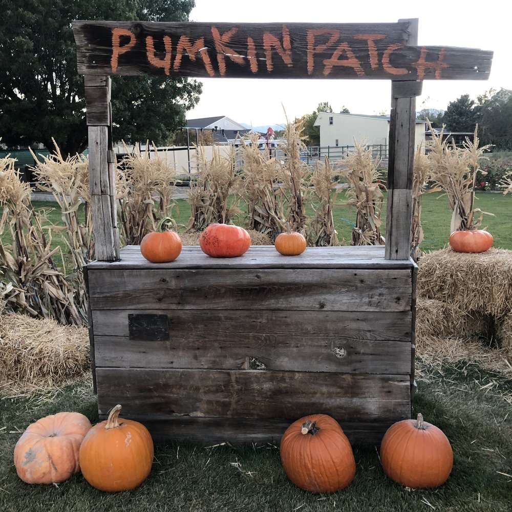 Mabey’s Pumpkin Patch - Photo opp - Pumpkin Patches Near Me - South Jordan, Utah Mabey’s Pumpkin Patch - Photo opp - Pumpkin Patches Near Me - South Jordan, Utah