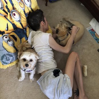 PetSmart - My dogs with good haircuts, being emotional support dogs that help me. - Pet Groomers Near Me - Liverpool, New York PetSmart - My dogs with good haircuts, being emotional support dogs that help me. - Pet Groomers Near Me - Liverpool, New York