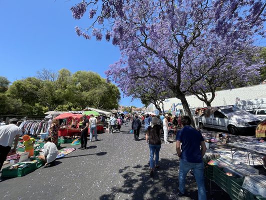 Feira da Ladra by null