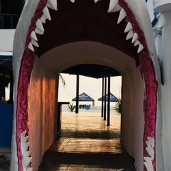 Shark - Thru the shark mouth is the dance floor & then, shark infested waters, choice is yours, so choose wisely.