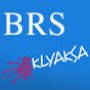 Photo of Berkeley Russian School