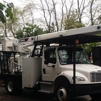 Traditional Tree Service - Tree Services Near Me - Smithtown, New York Traditional Tree Service - Tree Services Near Me - Smithtown, New York