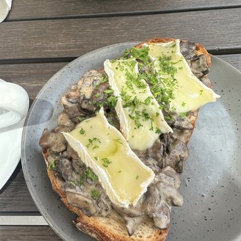 Republik Coffee Burbank - Truffle Mushroom Brie Toast - Cafes Near Me - Burbank, California Republik Coffee Burbank - Truffle Mushroom Brie Toast - Cafes Near Me - Burbank, California