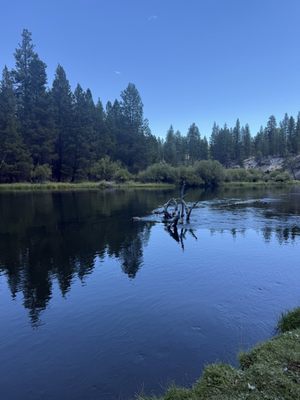 LaPine State Park by null