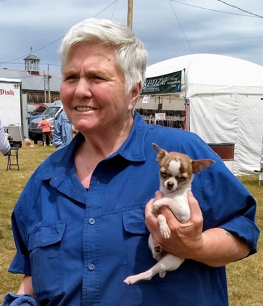 KATHY WILSON’S PET GROOMING Updated October 2024 144 Pleasant St