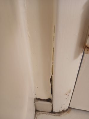 Plaza Condominium Assoc