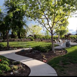 Rivera Bros Gardening - Back yard