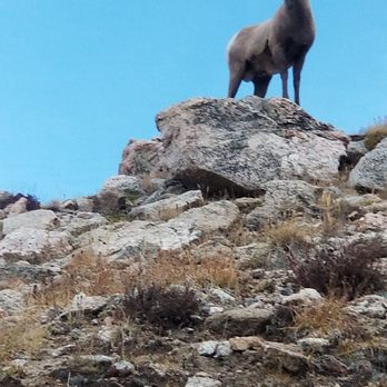 Mount Blue Sky Scenic Byway - Hiking Near Me