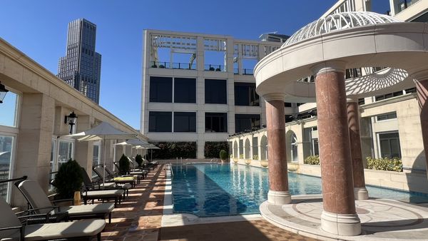 The Royal Garden by null