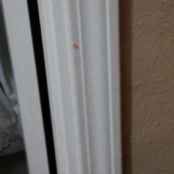 Anaheim Lodge - Blood or Paint??? - Hotels Near Me - Anaheim, California