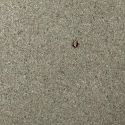 Norton Clark Hosptial - More blood splatter- yes this is blood as I found drips and more under the bed
