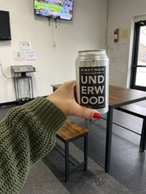 Snouts & Stouts - Dog Bar by null