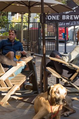 Stone Brewing Tap Room - Kettner by null