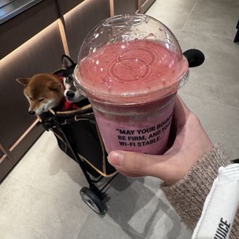 Joe & the Juice - Trust your gut - Juice Bars & Smoothies Near Me - Bellevue, Washington Joe & the Juice - Trust your gut - Juice Bars & Smoothies Near Me - Bellevue, Washington