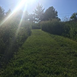 Beautiful trails
