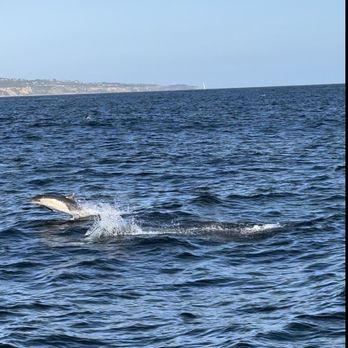 Harbor Breeze - Boat Charters Near Me - Long Beach, California