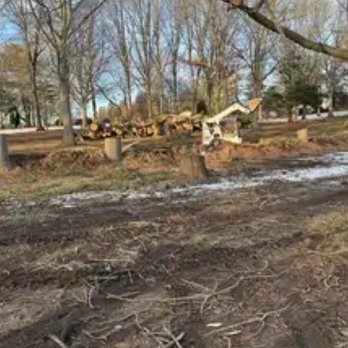 Commack Cemetery - Illegal removal of trees - Funeral Services & Cemeteries Near Me - Commack, New York