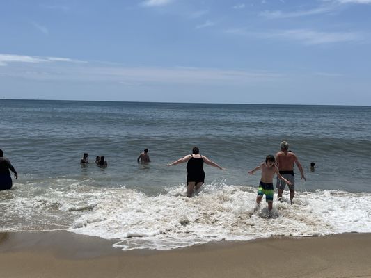 Edgartown South Beach by null