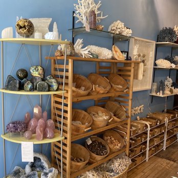 Blooming Shells - Gemstones & Minerals Near Me - Sag Harbor, New York Blooming Shells - Gemstones & Minerals Near Me - Sag Harbor, New York