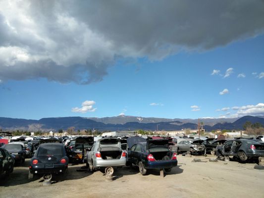 PICK YOUR PART - SAN BERNARDINO - Updated February 2026 - 48 Photos ...