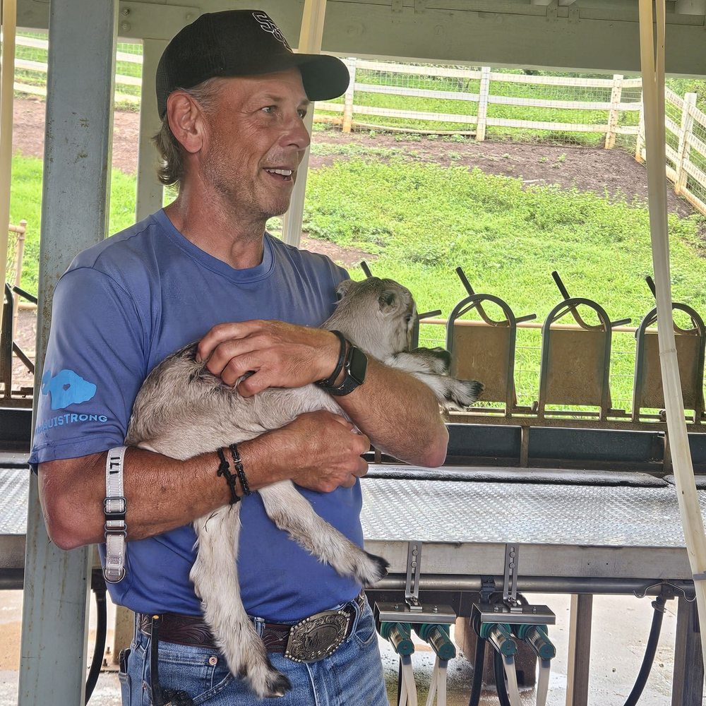 Surfing Goat Dairy - Newborn goat - Cheese Shops Near Me - Kula, Hawaii Surfing Goat Dairy - Newborn goat - Cheese Shops Near Me - Kula, Hawaii